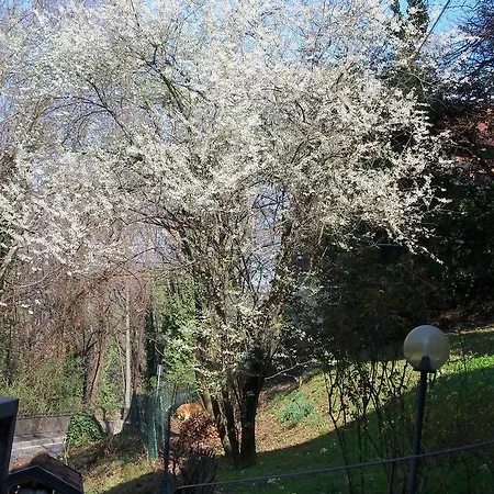 Nocleg ze śniadaniem I Ghiri 4*